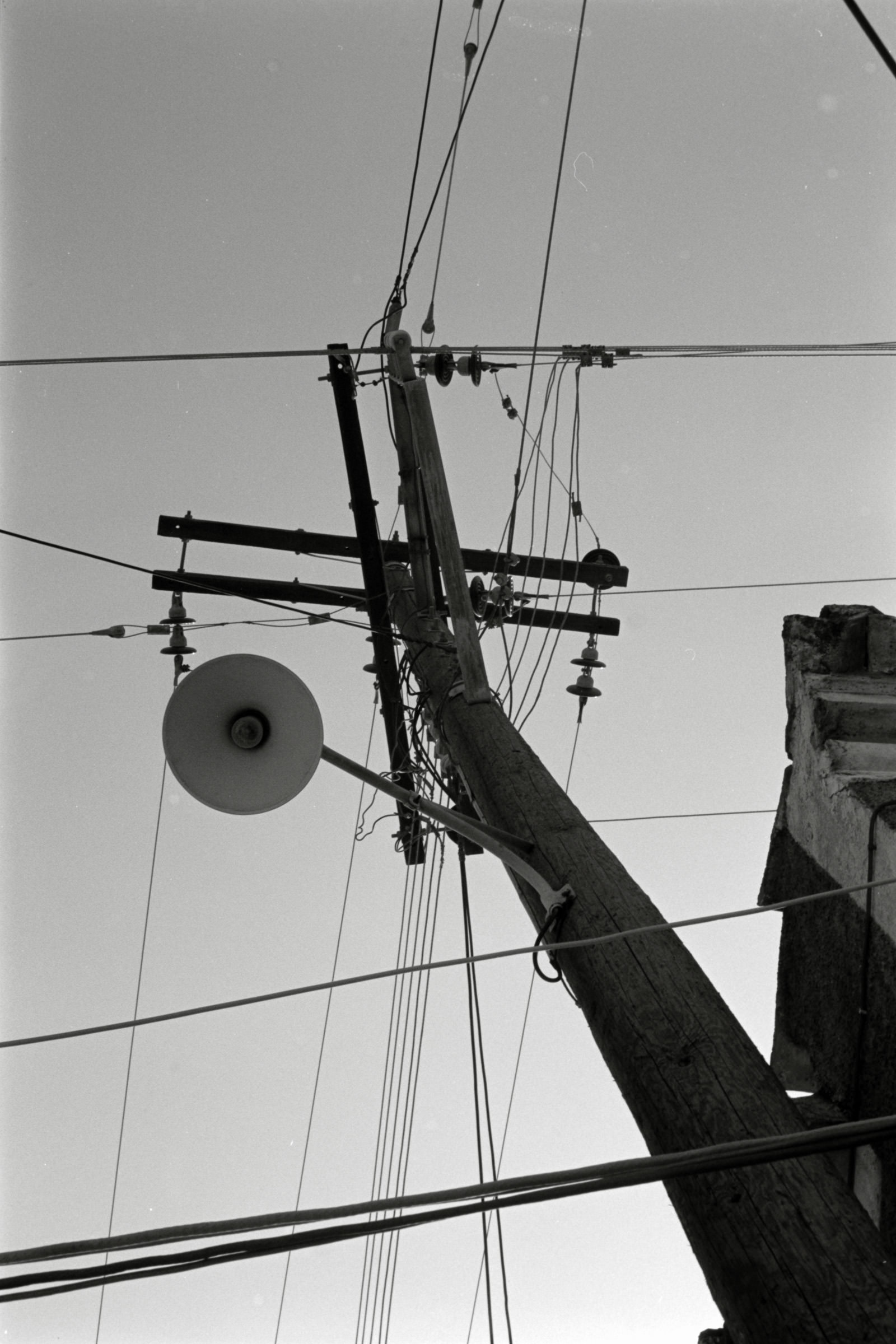 AHP F1991 09 001 sc250507 img13 NLP